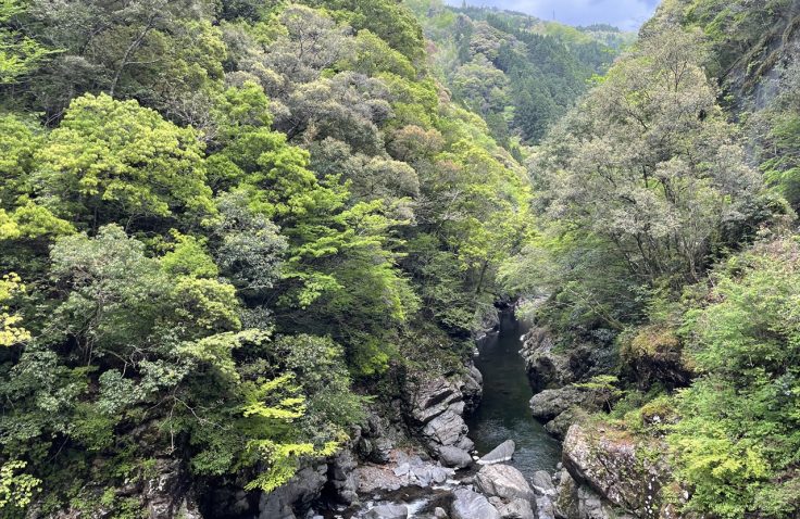 宮崎県諸塚村新緑の渓谷の景色