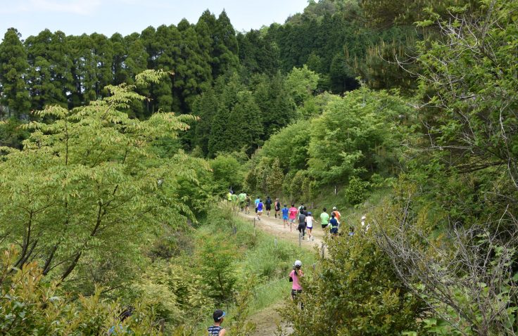 宮崎県諸塚村諸塚クロスカントリー大会